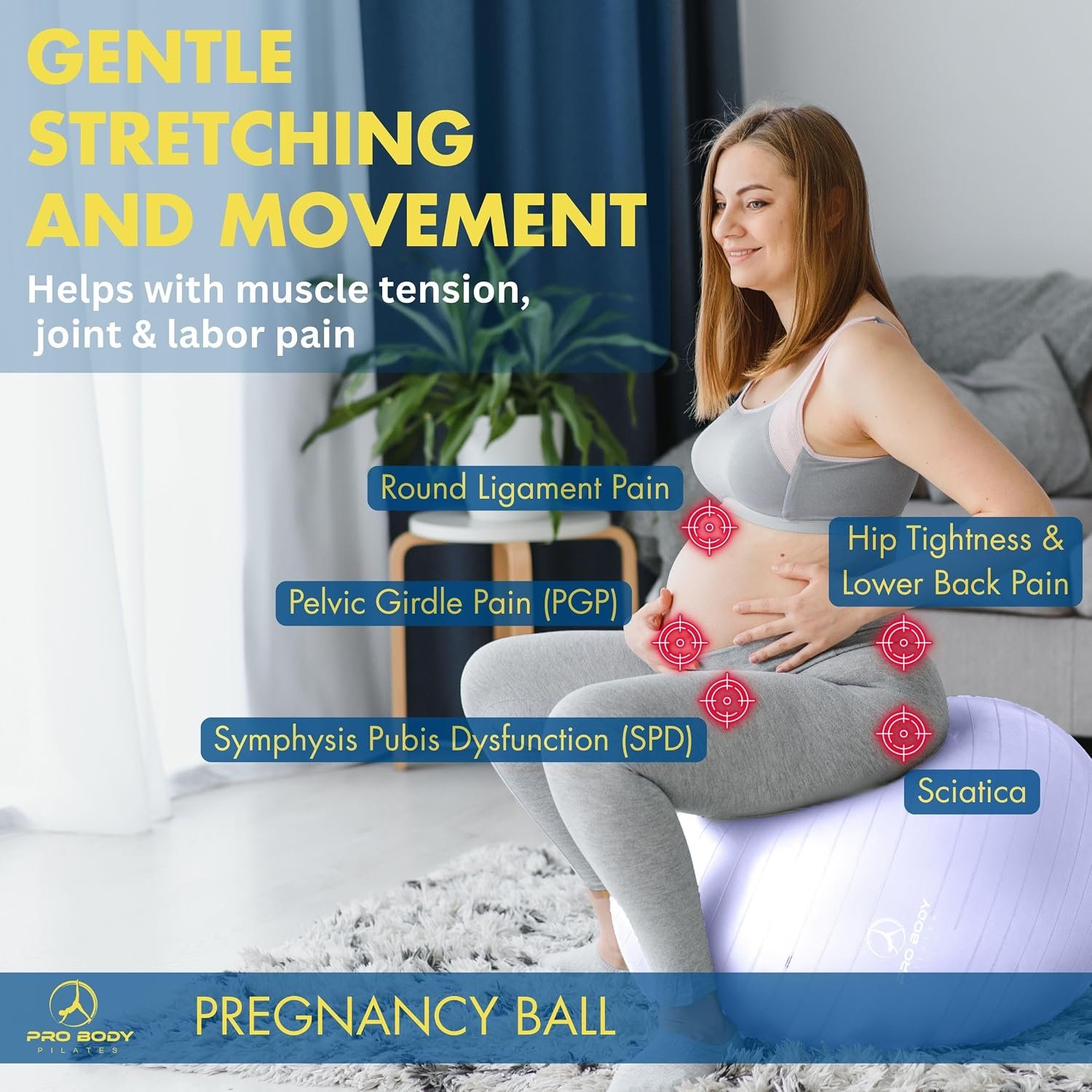 ProBody Pilates Pregnancy Ball - Yoga Ball for Pregnancy with Book, Prenatal, Labor & Postnatal Maternity Exercise - Image 2